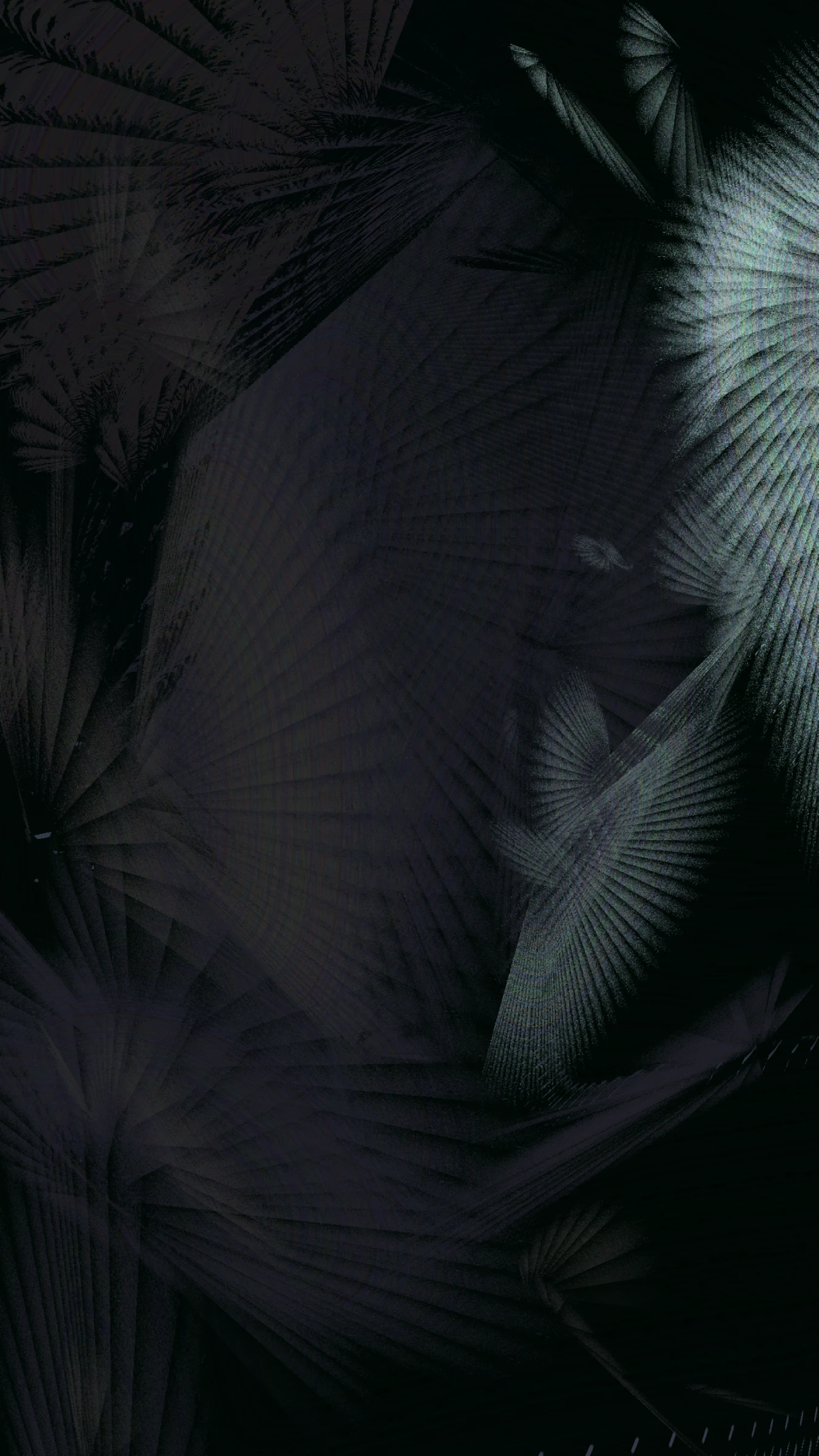 black-rimlight