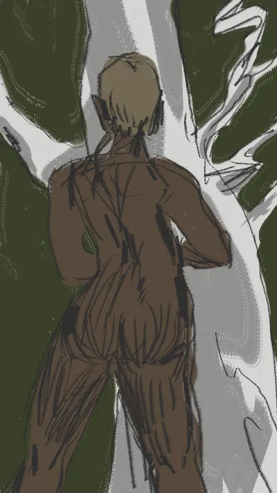 woods
