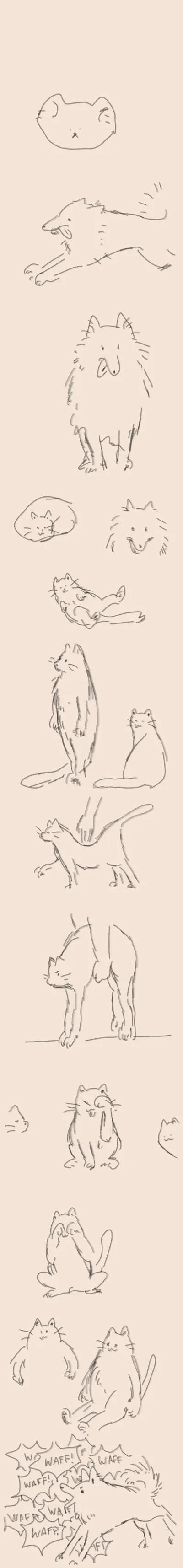 Notes_201115