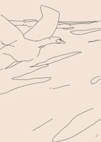 Notes_211128
