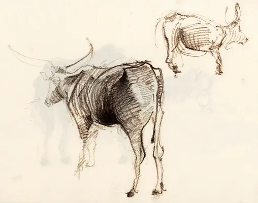 animal4-800px
